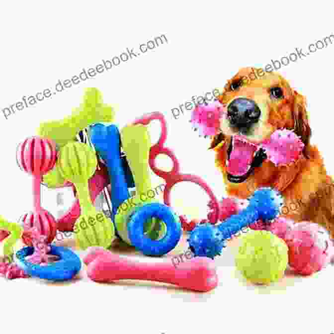 A Cute Dog Playing With A Squeaky Toy, Its Eyes Full Of Joy And Excitement Dog Christmas Stocking Ideas: Stocking Stuffers For Dogs: Christmas Stocking For Dogs