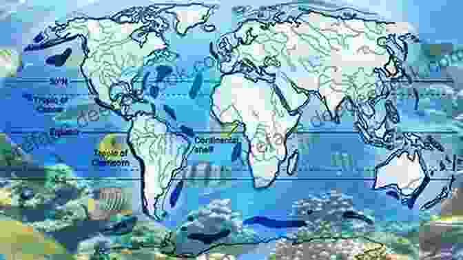 A Photo Of The Ocean Biome. The Ocean Is A Biome That Covers Over 70% Of The Earth's Surface. Counting: Earth S Biomes (Time For Kids Nonfiction Readers: Counting)