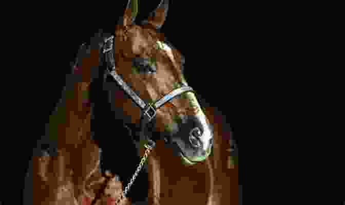 A Portrait Of Johnny Mohawk, The Legendary Quarter Horse Sire Johnny Mohawk: 4 (Horses Of Half Moon Ranch)