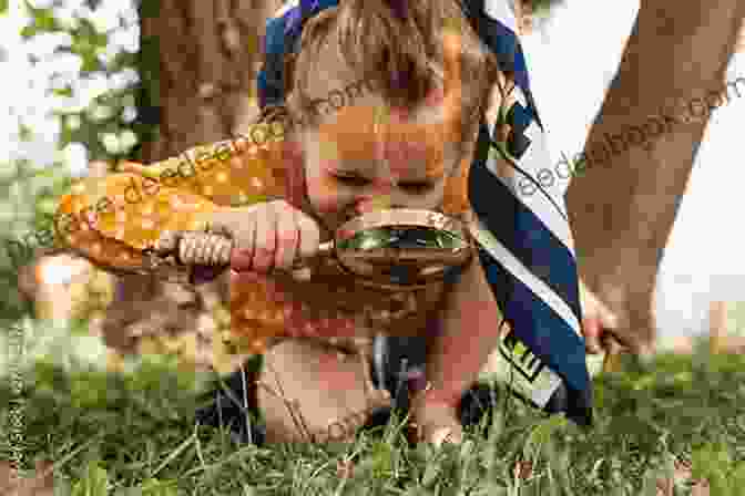 A Young Child Exploring Nature With A Magnifying Glass. Nurturing Creativity: An Essential Mindset For Young Children S Learning