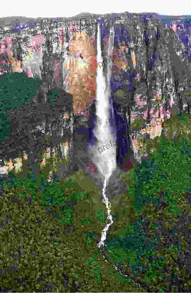 Angel Falls, The World's Highest Waterfall, Cascading Down A Sheer Rock Face In Canaima National Park, Venezuela My Favorite Places In Venezuela: Waterfalls
