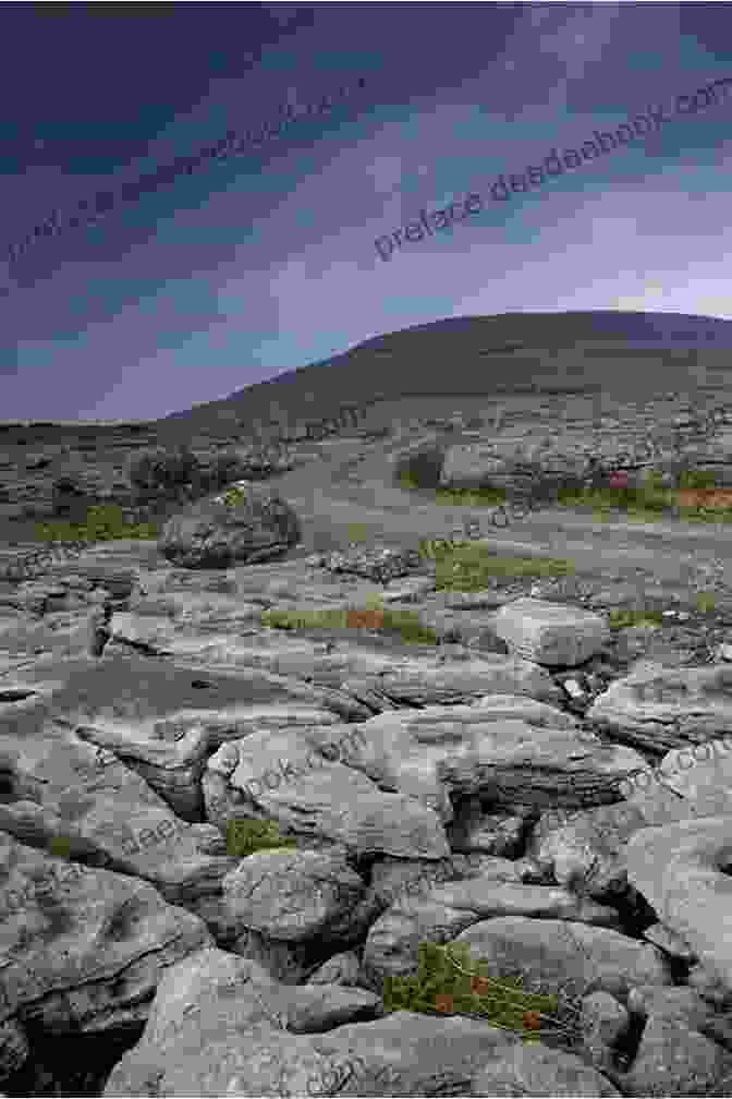The Unique Limestone Landscape Of The Burren Ireland Mosaic: A Photo Journey (Ireland Photos 1)