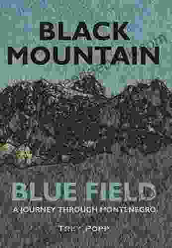 Black Mountain Blue Field: A Journey Through Montenegro