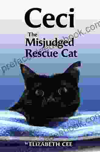 Ceci: The Misjudged Rescue Cat