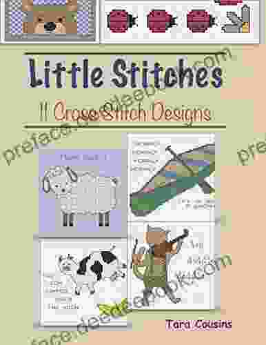 Little Stitches: 11 Cross Stitch Designs (Tiger Road Crafts)