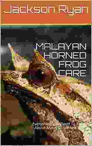 MALAYAN HORNED FROG CARE: Everything You Need To Know About Malayan Horned Frog