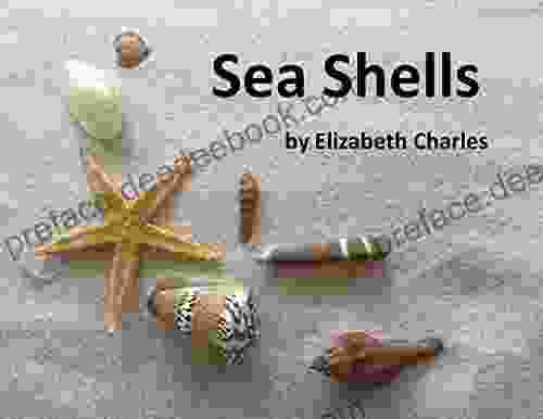 Sea Shells Mariah Stewart