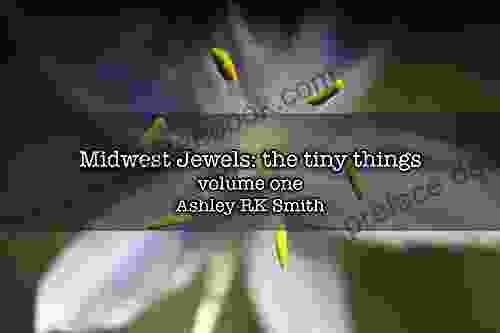 Midwest Jewels: The Tiny Things: Volume One