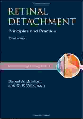 Retinal Detachment: Priniciples And Practice (American Academy Of Ophthalmology Monograph 1)