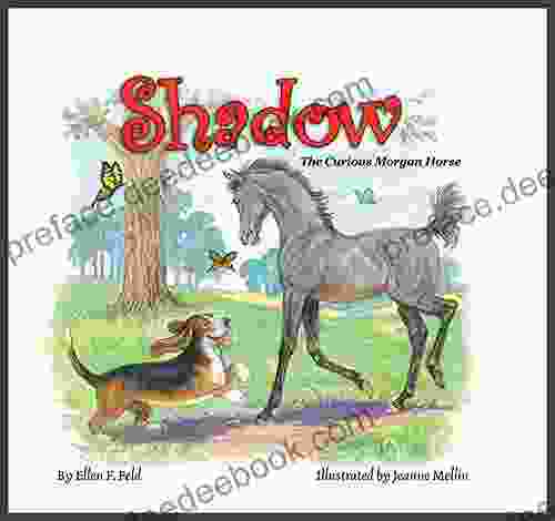 Shadow: The Curious Morgan Horse