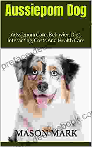Aussiepom Dog : Aussiepom Care Behavior Diet Interacting Costs And Health Care