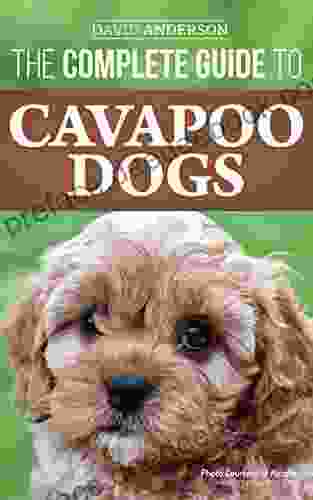 The Complete Guide To Cavapoo Dogs: Everything You Need To Know To Successfully Raise And Train Your New Cavapoo Puppy
