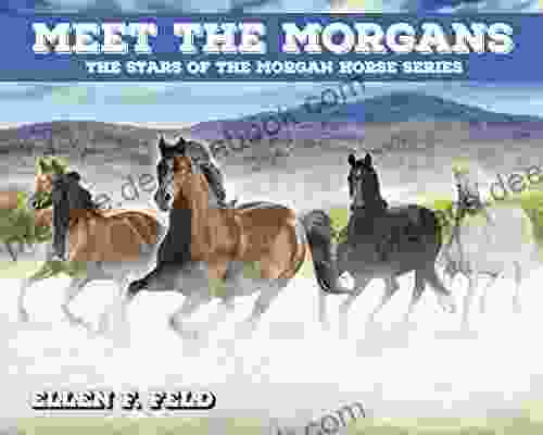 Meet The Morgans: The Stars Of The Morgan Horse