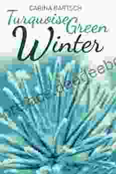 Turquoise Green Winter (Emely And Elyas 2)