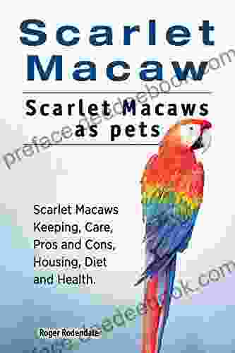 Scarlet Macaws Scarlet Macaw Pet Scarlet Macaw Keeping Pros And Cons Diet Health And Care